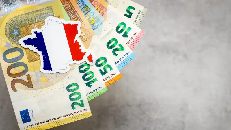 French money and national emblem, Gray background