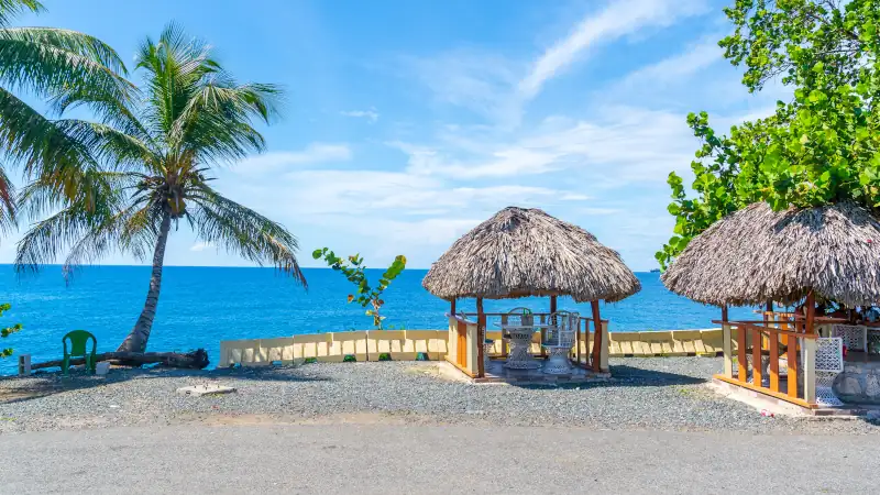 Tropical Scenic Views of the Ocean with Palm Trees and Huts from the Dominican Republic.