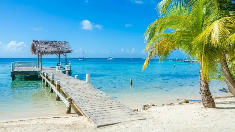 Wooden pier with thatched-roof palapa extending into clear turquoise water, palm tree on sandy shore in Ambergris Caye.