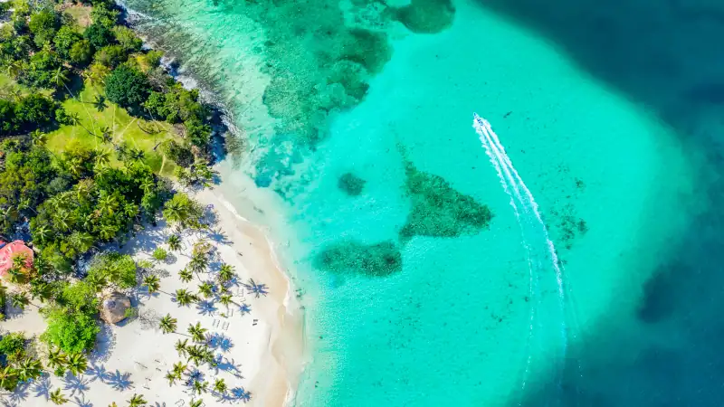 Aerial drone view of beautiful caribbean tropical island Cayo Levantado beach with palms and boat.