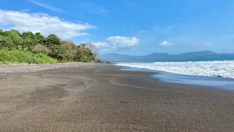 Wide sandy beach with gentle waves, lush greenery, and distant mountains at Los Islotes under a clear blue sky.