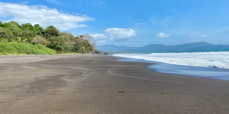 Wide black-sand beach with gentle waves, lush tropical greenery, and distant mountains under a bright blue sky.