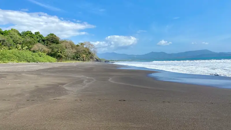 Wide black-sand beach with gentle waves, lush tropical greenery, and distant mountains under a bright blue sky.
