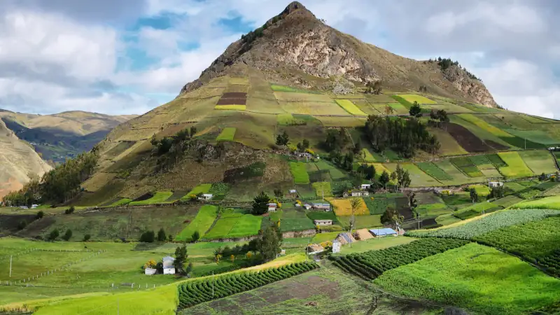 View of colorful terrace fields in Ecuador