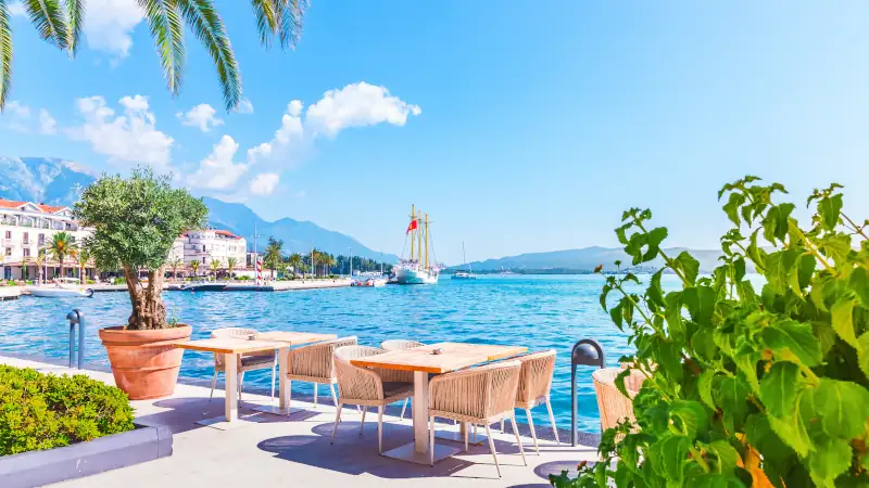 Beautiful cafe with palm trees in Montenegro. Open air restaurant, Montenegro, summer vacation, Tivat