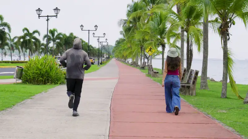 A palm-lined waterfront promenade along Cinta Costera in Panama City, Panama.