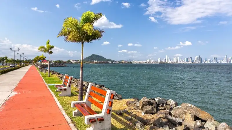 A waterfront promenade lined with palm trees and benches, overlooking the bay and Panama City’s skyline in the distance.