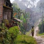 A local woman walks down a path lines with wooden houses carrying a tray on her head