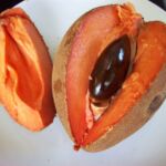 Food of Belize | Sapote