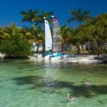 A beach with pelicans and a boat in Belize