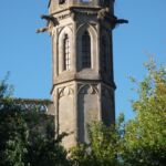 A church tower rises above the trees