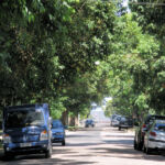 The wide tree-lined streets of Uruguay.