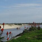 A fisherman makes his way out to sea on a small boat, Uruguay.