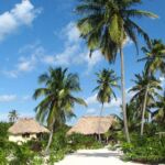 Houses in Belize