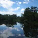 Kopački Rit Natural Park, Croatia