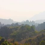 Laos Limestone Forest