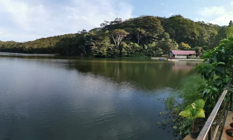 view of the lagoon in Cerro Azul Panama