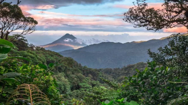 Gallery of Costa Rica