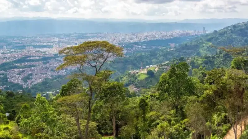 View of jungle with Bucaramanga, Colombia in the distance